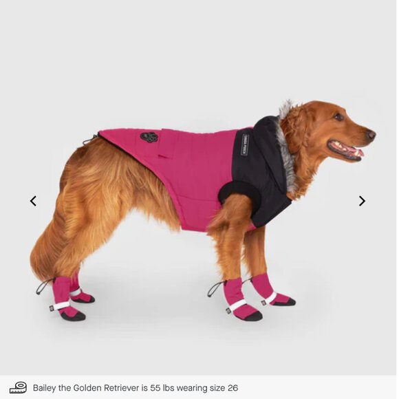 Canada Pooch True North Parka - Picture 2 of 8